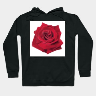 Rose Hoodie